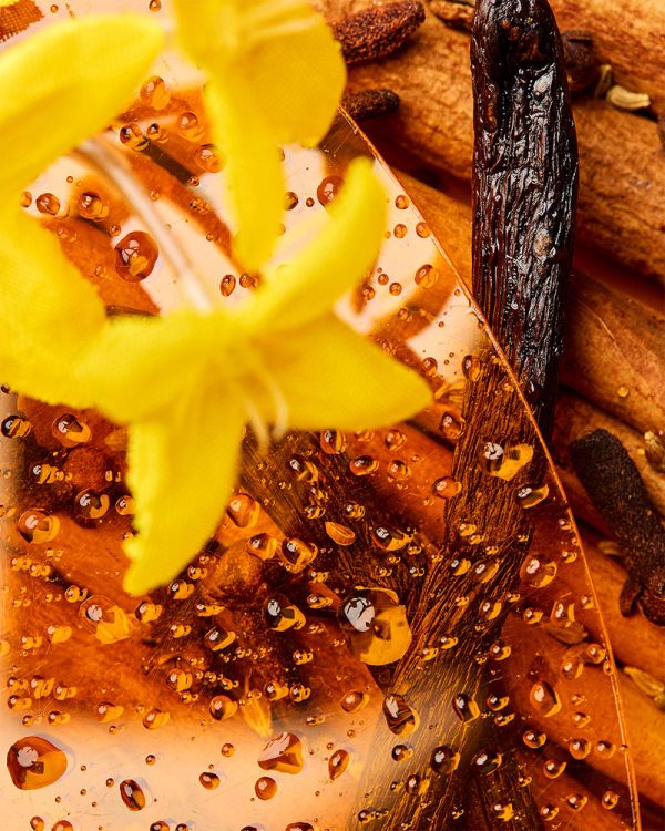 Anise Vanille & Cassia Spice™ fragrance oil - the stash on Sale - Image 2